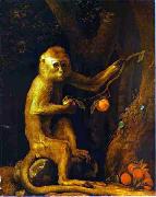 George Stubbs Green Monkey Sweden oil painting artist
